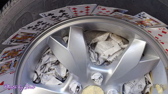 s6爆改炫色輪轂與車用床墊升級，生物技術開發服務的跨界融合